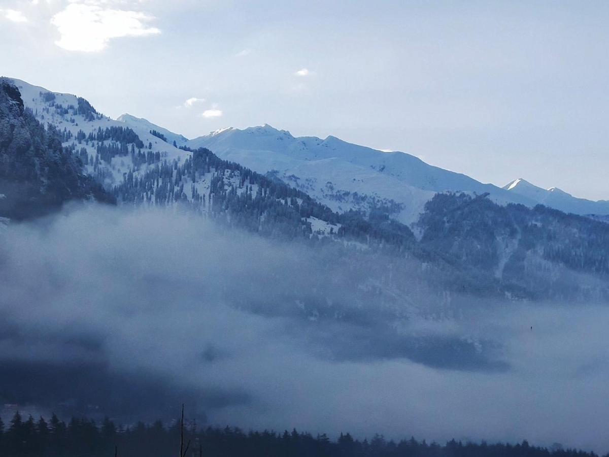 ホテル The Royal Majestic Mountain View Manāli エクステリア 写真